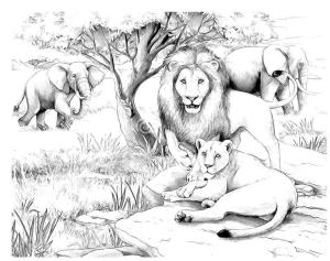 León boyama sayfası,  coloring page, Yetişkin Afrika Aslanları, 