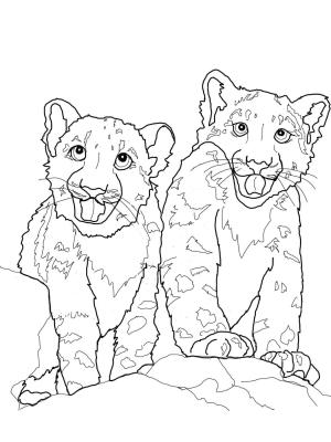 Leopar boyama sayfası, Leopards coloring page, , leopards babies snow leopard 