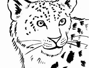 Leopar boyama sayfası, Leopards coloring page, Leopar Yüz, 