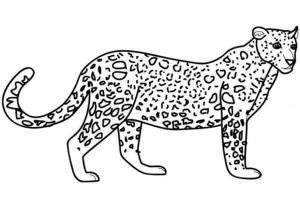 Leopar boyama sayfası, Leopards coloring page, Normal Leopar, 