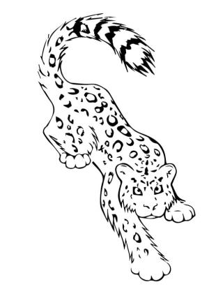 Leopar boyama sayfası, Leopards coloring page, Yazdırılabilir Kar Leoparı, 