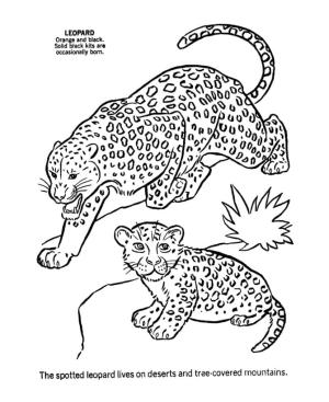 Leopar boyama sayfası, Leopards coloring page, Vahşi Leopar, 