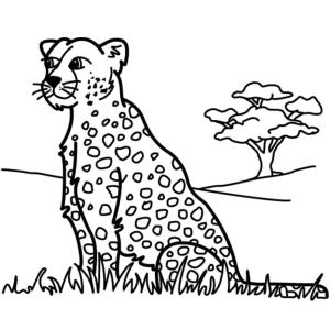 Leopar boyama sayfası, Leopards coloring page, Çimenlerin Üzerinde Oturan Leopar, 