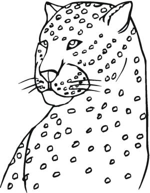 Leopar boyama sayfası, Leopards coloring page, Çocuklar için Leopar, 