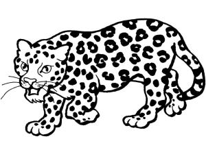 Leopar boyama sayfası, Leopards coloring page, Yazdırılabilir leopar, 