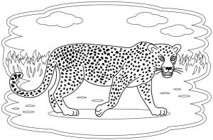 Leopar boyama sayfası, Leopards coloring page, Çocuk için Leopar, 