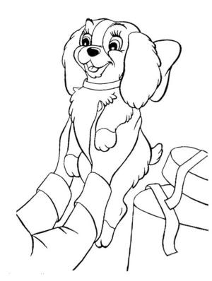 Leydi ile Sokak Köpeği boyama sayfası,  coloring page, Köpek Hediyesi, 