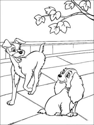 Leydi ile Sokak Köpeği boyama sayfası,  coloring page, Meet Lady and The Tramp, 