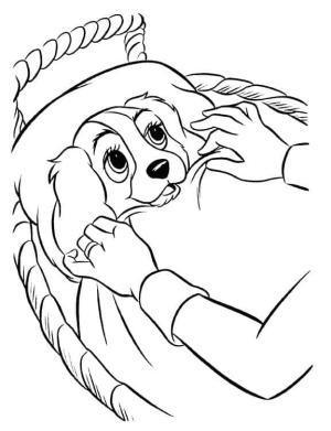 Leydi ile Sokak Köpeği boyama sayfası,  coloring page, Köpek Bakımı, 