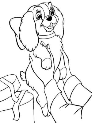 Leydi ile Sokak Köpeği boyama sayfası,  coloring page, Cocker Spaniel cinsi bir köpek yavrusu, 