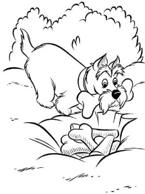 Leydi ile Sokak Köpeği boyama sayfası,  coloring page, Yenilenen Kemikler, 