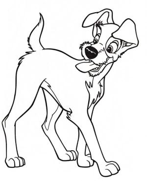 Leydi ile Sokak Köpeği boyama sayfası,  coloring page, Sokakta yaşayan bir Tramp, 