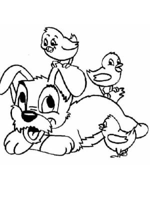 Leydi ile Sokak Köpeği boyama sayfası,  coloring page, Kuşlarla Oynayan Köpek Yavrusu, 