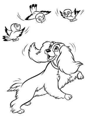 Leydi ile Sokak Köpeği boyama sayfası,  coloring page, Kuşlarla Eğlenceli Lady, 