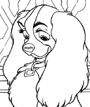 Leydi ile Sokak Köpeği boyama sayfası,  coloring page, Şanslı Köpek Yavrusu Lady, 