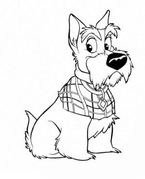 Leydi ile Sokak Köpeği boyama sayfası,  coloring page, Trusty’nin en iyi arkadaşı Jock’tur, 