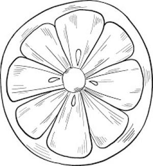 Limon boyama sayfası,  coloring page, Yarım limon, 