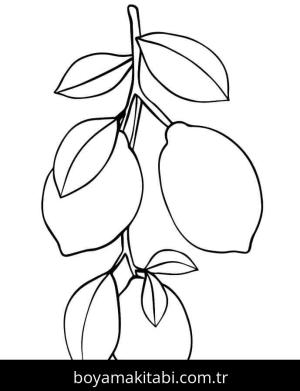 Limon boyama sayfası – keyifli zaman, renkli çizimler