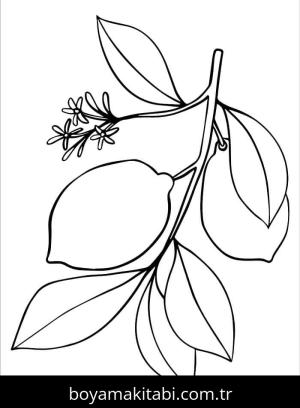 Limon boyama sayfası – evde etkinlik, ücretsiz yazdır