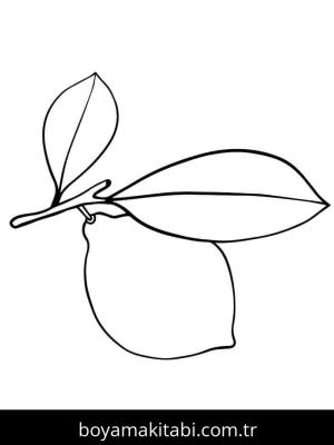 Limon boyama sayfası – yaratıcılığı geliştirir, keyifli zaman