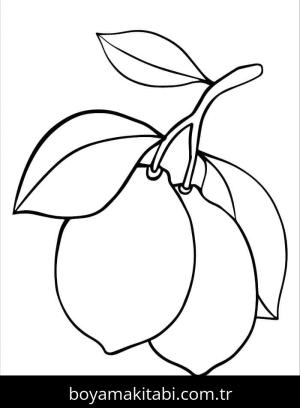 Limon boyama sayfası – evde etkinlik, ücretsiz yazdır