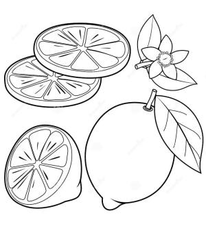 Limon boyama sayfası,  coloring page, Limon 3, 