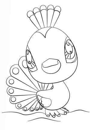 Littlest Pet Shop boyama sayfası,  coloring page, En Küçük Evcil Hayvan Dükkanı Tavuskuşu, 