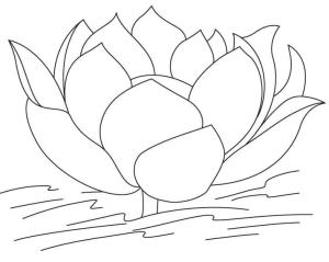 Lotus boyama sayfası,  coloring page, Basit Lotus Çiçeği, 