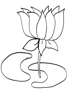 Lotus boyama sayfası,  coloring page, Güzel Lotus Çok iyi, 