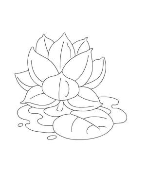 Lotus boyama sayfası,  coloring page, Lotus’u Yazdır, 