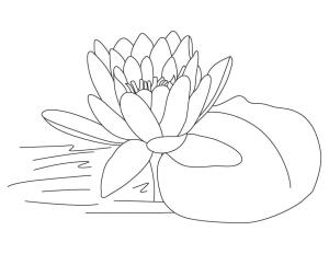 Lotus boyama sayfası,  coloring page, Çocuklara Özel Lotus Ücretsiz, 