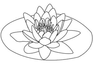 Lotus boyama sayfası,  coloring page, Ücretsiz Yazdırılabilir Lotus, 