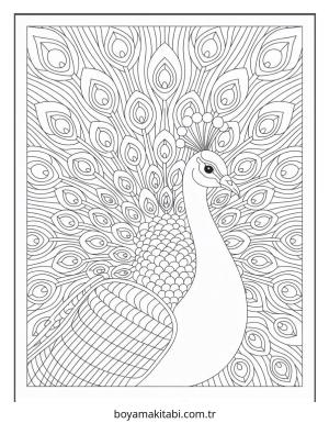 Mandala Boyama