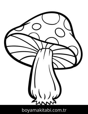 Mantar boyama sayfası – yaratıcılık, eğlenceli etkinlik