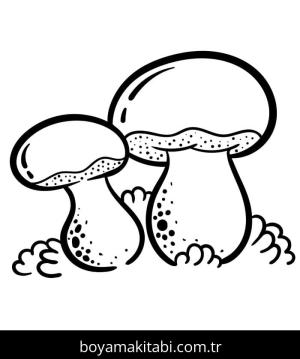 Mantar boyama sayfası – yaratıcılığı geliştirir, keyifli zaman