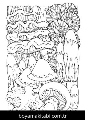 Mantar boyama sayfası – boyama etkinliği, çocuk aktivitesi