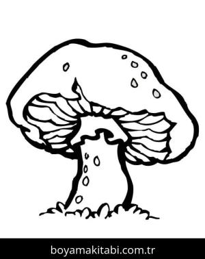 Mantar boyama sayfası – renkli çizimler, okul öncesi