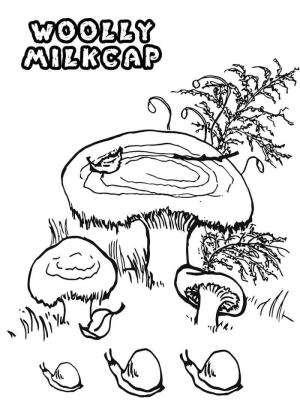 Mantar boyama sayfası,  coloring page, Yünlü Milkcap Mantarları, 