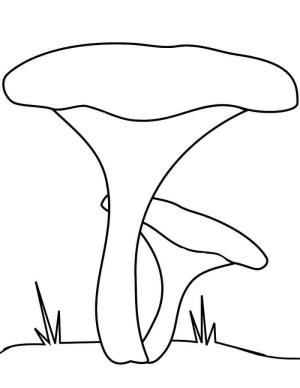 Mantar boyama sayfası,  coloring page, Cantharellus Cibarius Mantarı, 