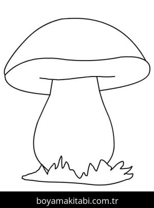 Mantar boyama sayfası – kolay boyama, eğitici aktivite