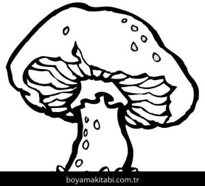 Mantar boyama sayfası – renkli çizimler, okul öncesi