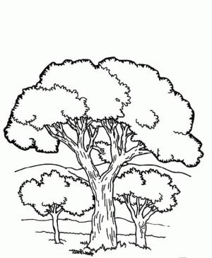 Manzara boyama sayfası,  coloring page, Ağacın Görünümü, 