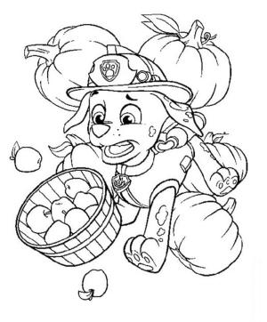 Marshall Paw Patrol boyama sayfası,  coloring page, Komik Marshall Paw Patrol, 