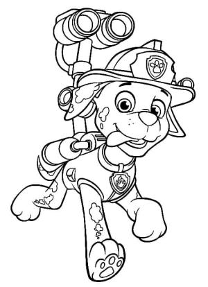 Marshall Paw Patrol boyama sayfası,  coloring page, Su Topu ile Marshall, 