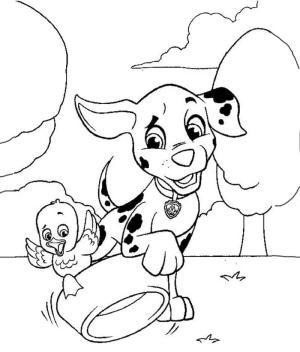 Marshall Paw Patrol boyama sayfası,  coloring page, Marshall ve Ördek, 