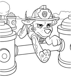 Marshall Paw Patrol boyama sayfası,  coloring page, Havalı Marshall Paw Patrol, 