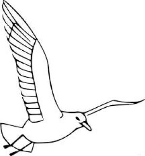 Martı boyama sayfası,  coloring page, Serin Martı Uçan, 