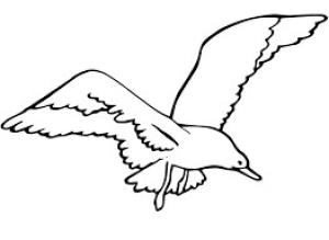 Martı boyama sayfası,  coloring page, Uçan Martı, 