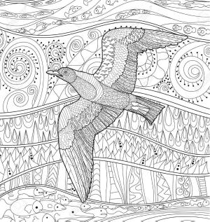 Martı boyama sayfası,  coloring page, Martı Mandala, 