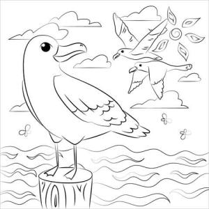 Martı boyama sayfası,  coloring page, Üç Martı, 